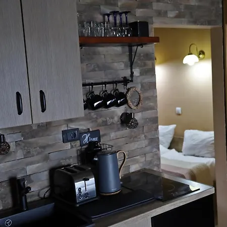 Dunavska Kuca 别墅