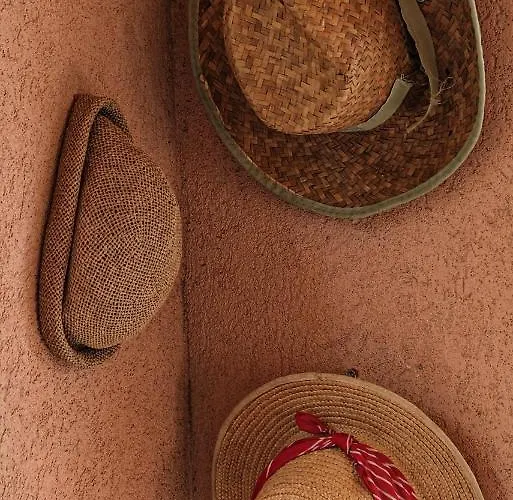 Dunavska Kuca فيلة *